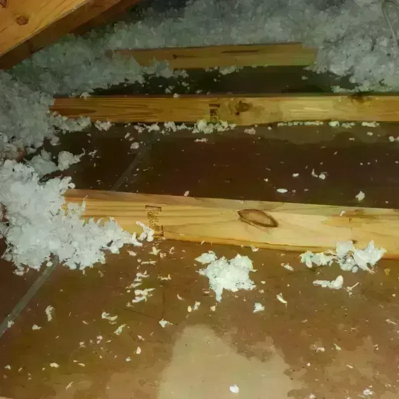 Attic Water Damage in Nicoma Park, OK