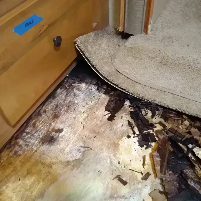 Best Wood Floor Water Damage Service in Nicoma Park, OK